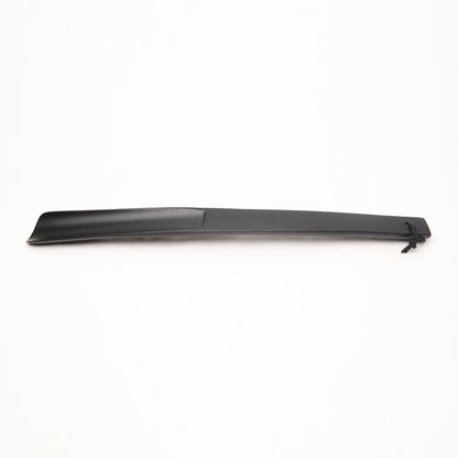 Black Shoe Horn