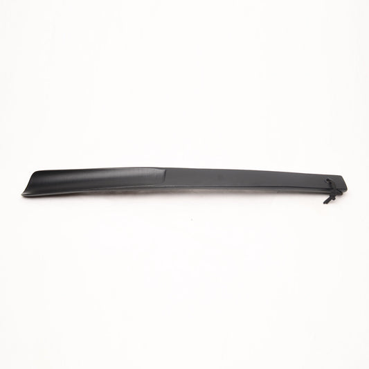 Black Shoe Horn